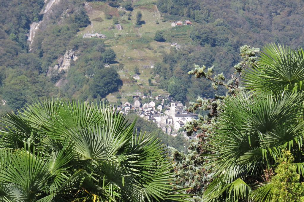 Pizzo Hotel Vogorno