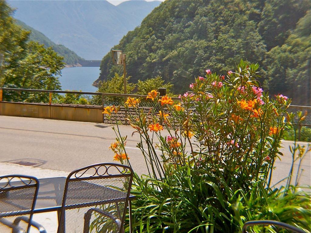 Pizzo 2* Vogorno